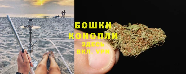 амф Бронницы