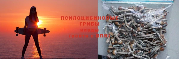 дурь Богородск