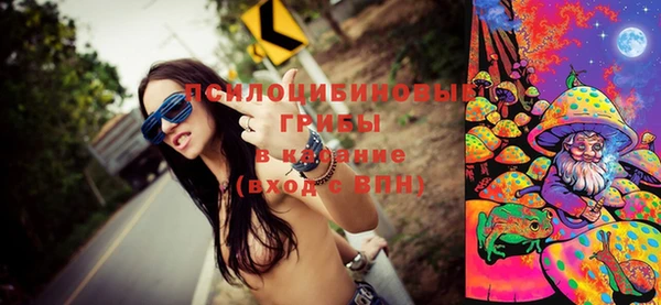 амф Бронницы