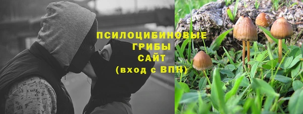 трава Тайга