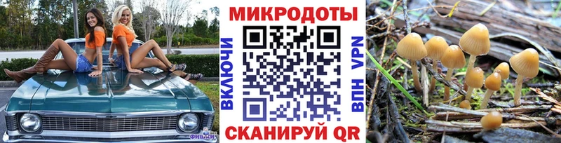 Псилоцибиновые грибы мухоморы  где продают наркотики  Кимовск 